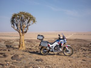 The New Africa Twin 2020